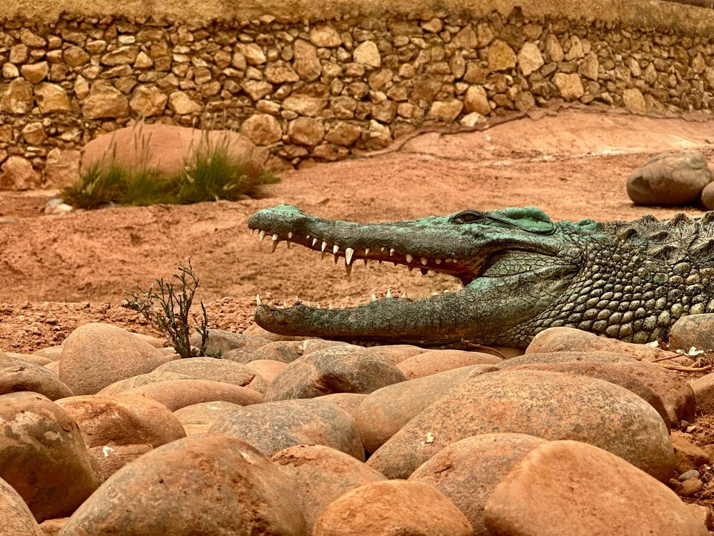Crocoparc Agadir