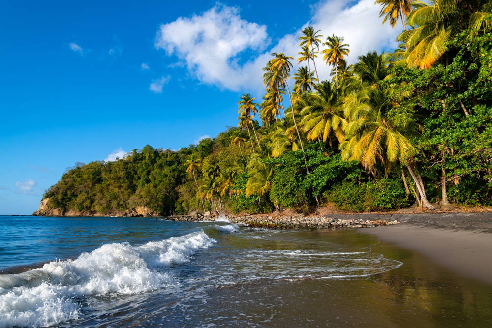 Hôtels All Inclusive et demi-pension en Martinique  Notre top 10
