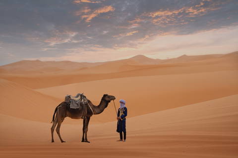 Où faire du chameau au Maroc