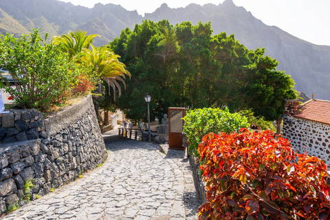 Quelle période pour aller à Tenerife