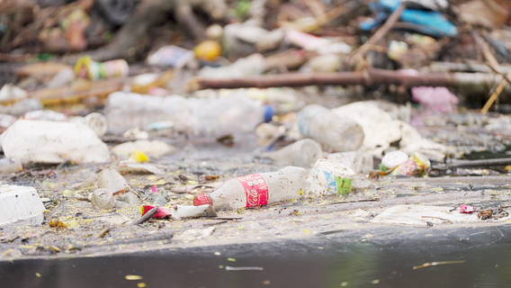 Quels sont les avis négatifs sur Bali