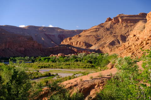 Vallée des roses au Maroc  Guide complet