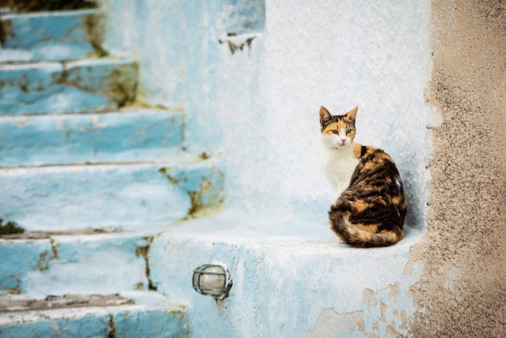 santorin en hiver